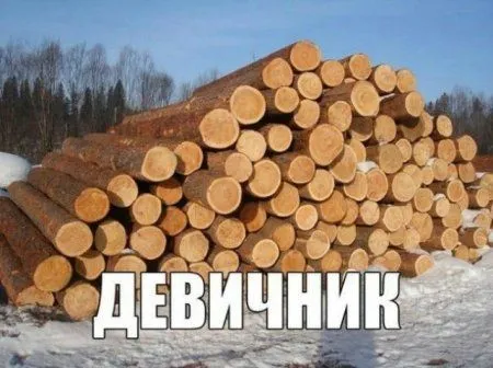 Порция настроения в подборе веселых картинок Порция настроения в подборе веселых картинок