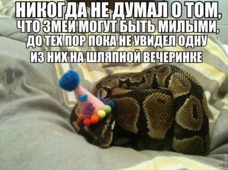Для улыбки и настроения