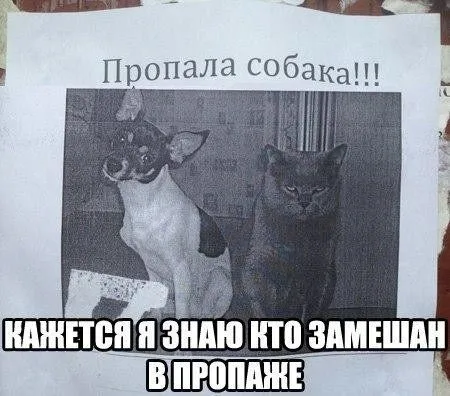 Для улыбки и настроения
