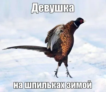 Для улыбки и настроения