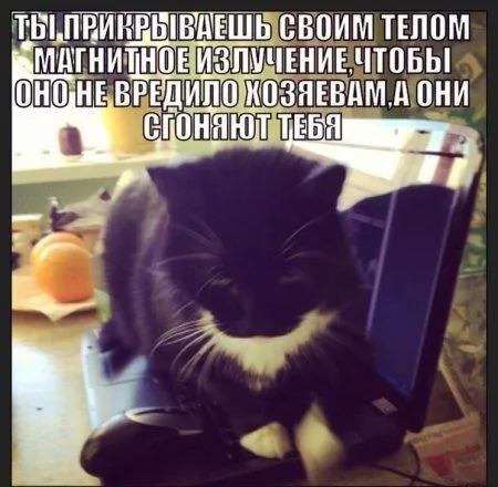 Для улыбки и настроения