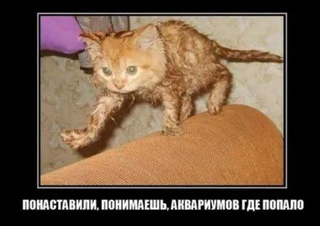 Для улыбки и настроения