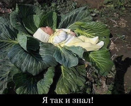 Для улыбки и настроения