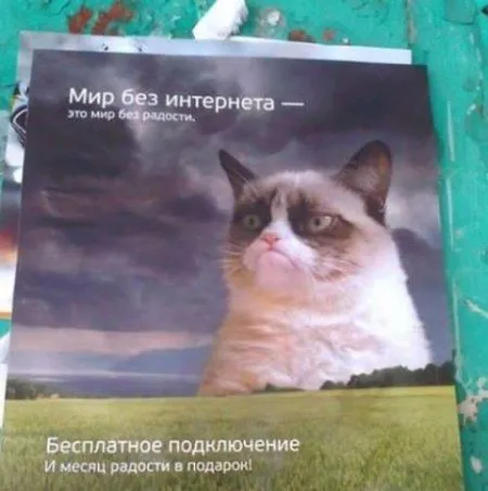 Для улыбки и настроения