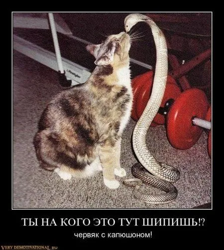 Демотиваторы, веселись народ