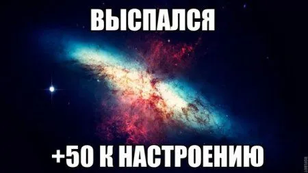 Фото приколы картинки, с ними и ждать выходных веселее Фото приколы картинки, с ними и ждать выходных веселее