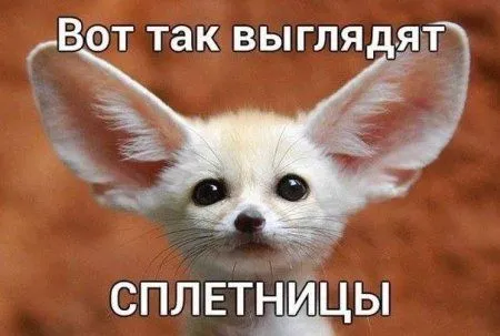 Фото приколы картинки, с ними и ждать выходных веселее Фото приколы картинки, с ними и ждать выходных веселее