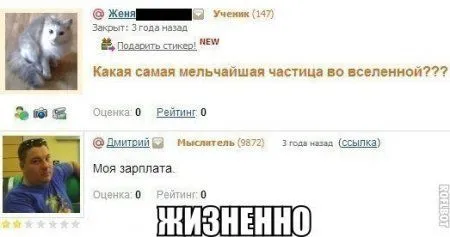 Фото приколы картинки, с ними и ждать выходных веселее Фото приколы картинки, с ними и ждать выходных веселее