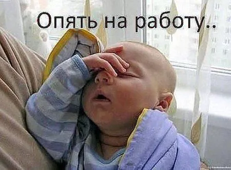 Фото приколы картинки, с ними и ждать выходных веселее Фото приколы картинки, с ними и ждать выходных веселее