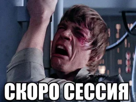 Фото приколы картинки, с ними и ждать выходных веселее Фото приколы картинки, с ними и ждать выходных веселее