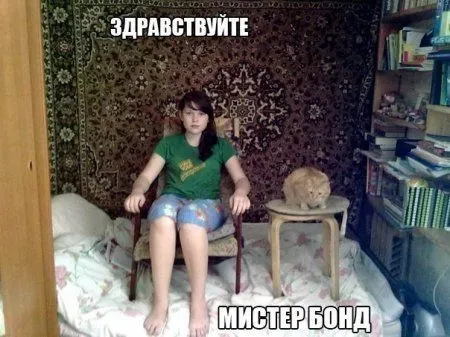 Фото приколы картинки, с ними и ждать выходных веселее Фото приколы картинки, с ними и ждать выходных веселее