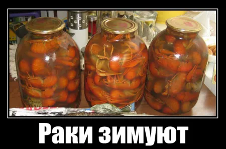 Демотиваторы для кого-то где-то Демотиваторы для кого-то где-то