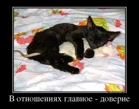 Демотиваторы для кого-то где-то Демотиваторы для кого-то где-то