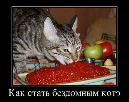 Демотиваторы для кого-то где-то Демотиваторы для кого-то где-то