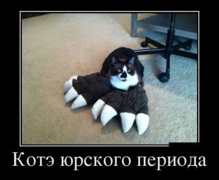 Демотиваторы для кого-то где-то