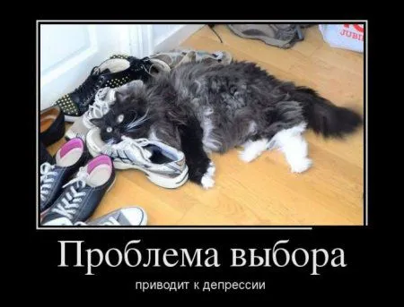 Демотиваторы для кого-то где-то Демотиваторы для кого-то где-то