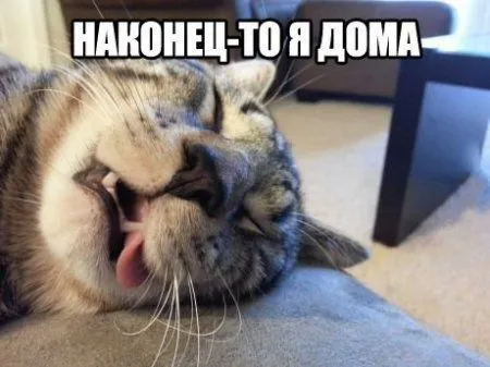Приколы на фото и картинки Приколы на фото и картинки