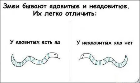 Приколы на фото и картинки Приколы на фото и картинки