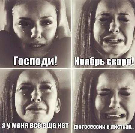 Приколы на фото и картинки Приколы на фото и картинки