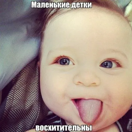 Приколы на фото и картинки Приколы на фото и картинки