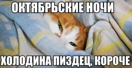 Смотри картинки прикольные и нет проблем Смотри картинки прикольные и нет проблем