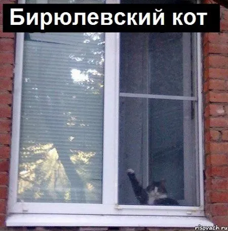 Смотри картинки прикольные и нет проблем