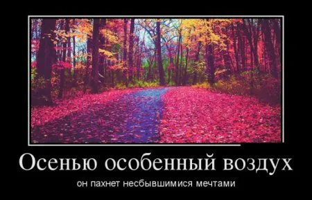 Любимые демки