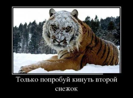 Любимые демки