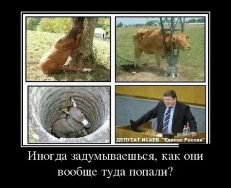 Любимые демки