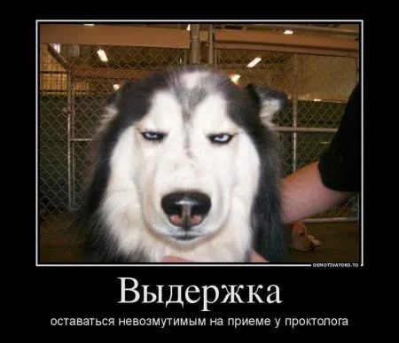 Любимые демки