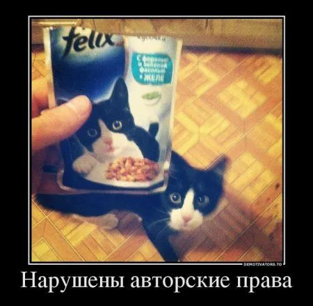 Любимые демки