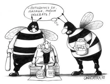 Карикатур веселая подборка Карикатур веселая подборка