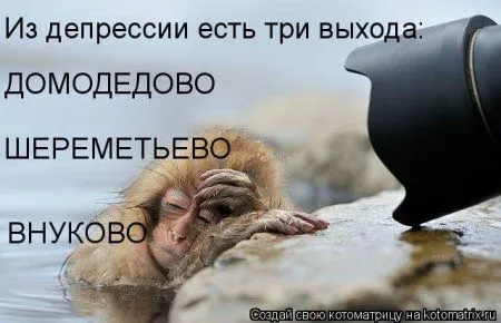 Котоматрицы для любителей котов и юмор Котоматрицы для любителей котов и юмор