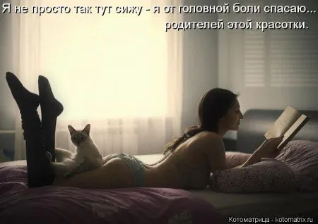 Котоматрицы для любителей котов и юмор
