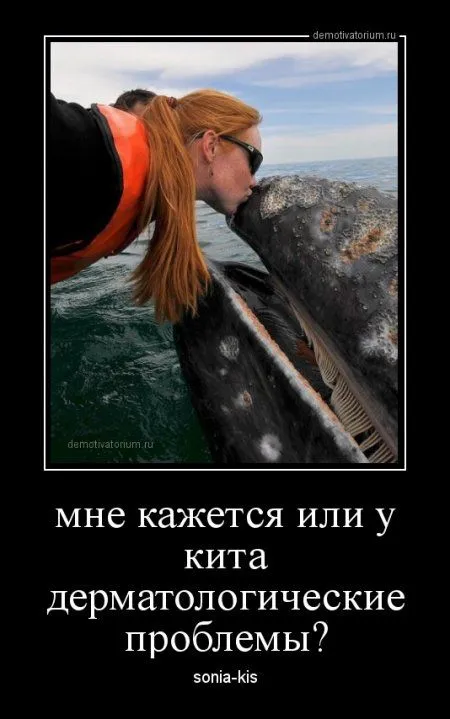 ВАШИ любимые демотиваторы