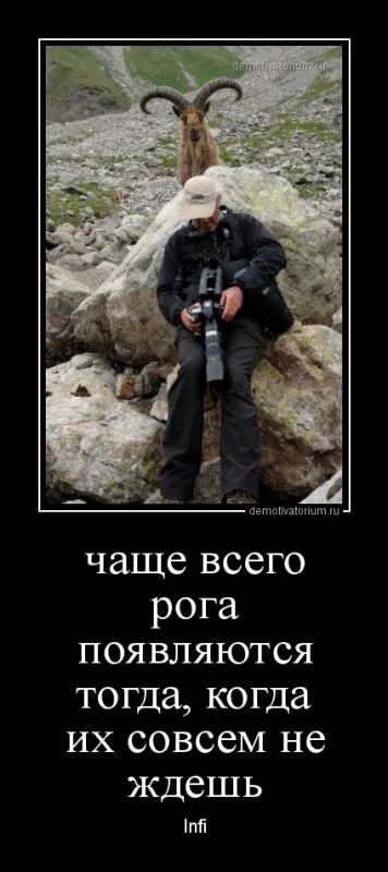 ВАШИ любимые демотиваторы