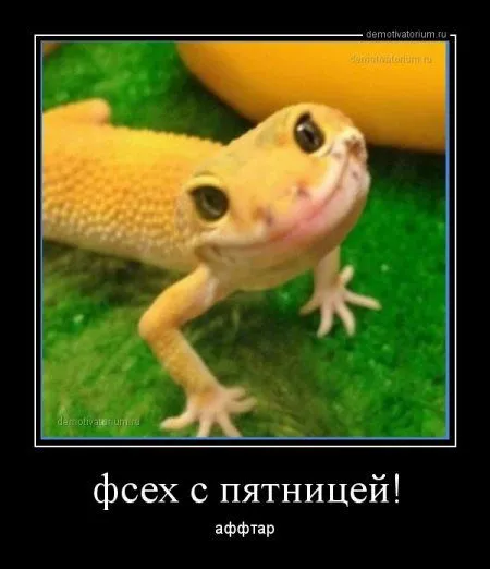 ВАШИ любимые демотиваторы