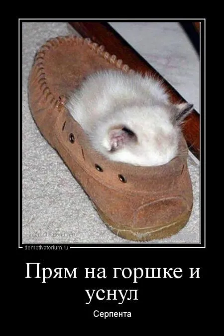 ВАШИ любимые демотиваторы