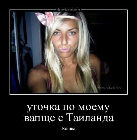 ВАШИ любимые демотиваторы
