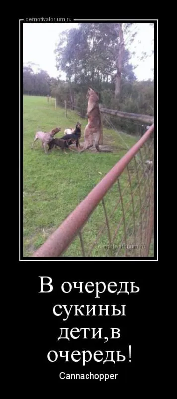 ВАШИ любимые демотиваторы