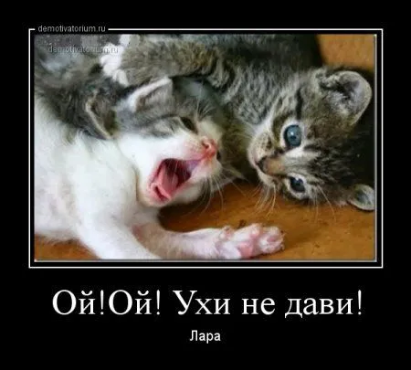 ВАШИ любимые демотиваторы