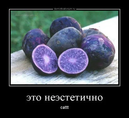 ВАШИ любимые демотиваторы
