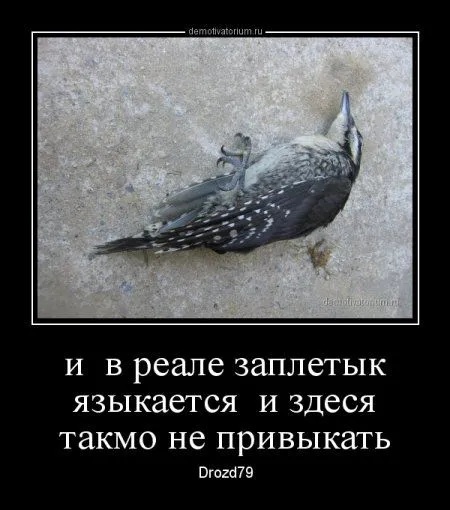 ВАШИ любимые демотиваторы