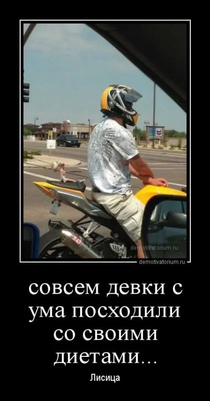 ВАШИ любимые демотиваторы