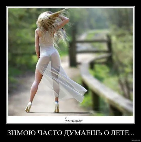 Демотиваторы для взрослых тёть и дять Демотиваторы для взрослых тёть и дять