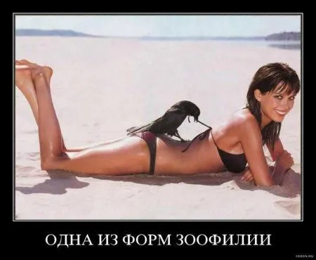 Демотиваторы для взрослых тёть и дять Демотиваторы для взрослых тёть и дять