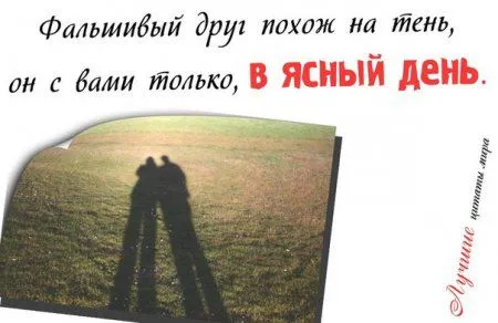 Фразы в картинках двк страницы