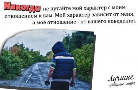 Фразы в картинках двк страницы