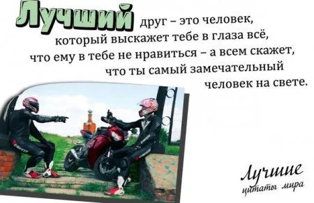 Фразы в картинках двк страницы