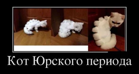 Маленький пост, для любителей черных рамок